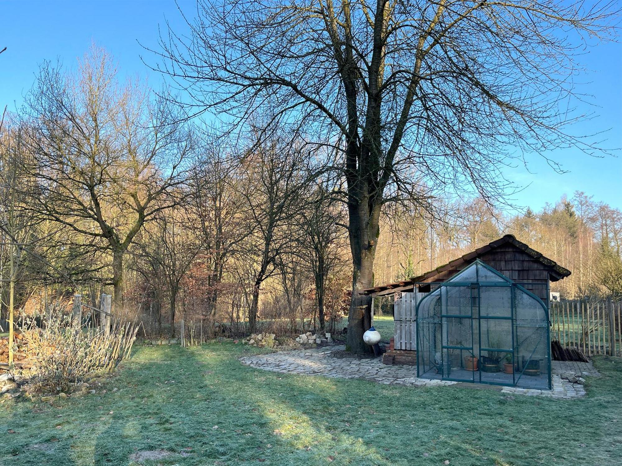 Apartamento Gruen In Gruen Detmold Exterior foto